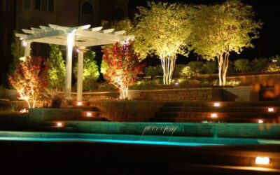 Light Up Your Landscape This Winter