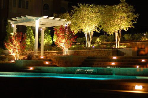 Light Up Your Landscape This Winter