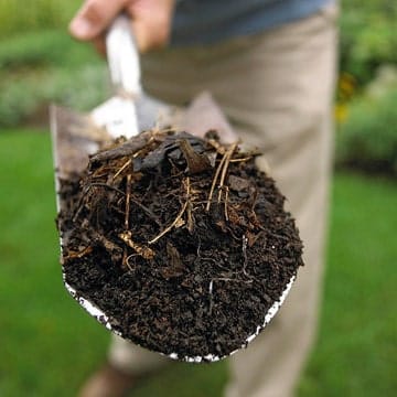 best yard soil