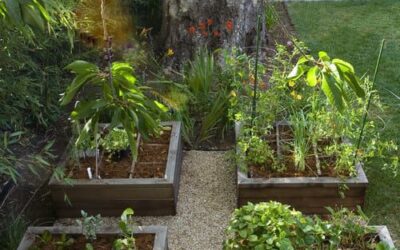The Benefits of Using Organics in Your Landscape