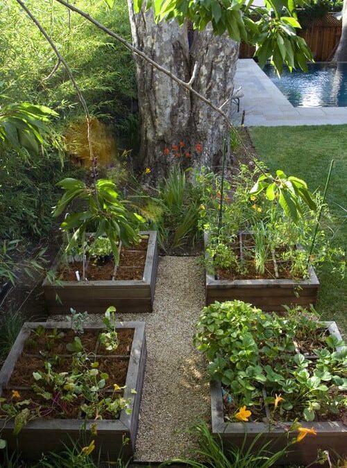 The Benefits of Using Organics in Your Landscape