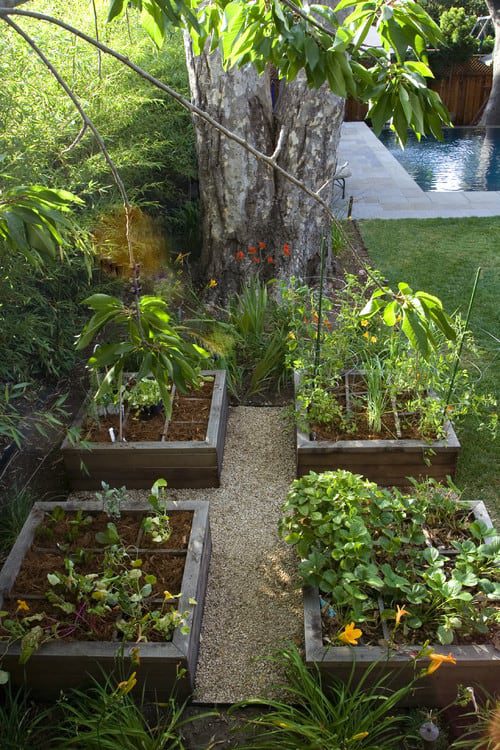Blog Featured – The Benefits of Using Organics in Your Landscape