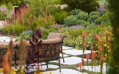 Go Green Between Patio Pavers