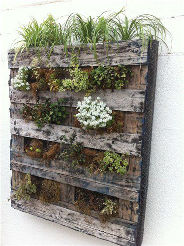 pallet-plants-vertical-garden-landscaping-network_4358