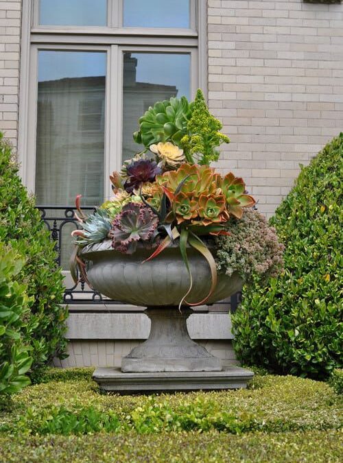 Succulent Container Garden Designs