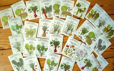 An Overview of Seeds for Spring