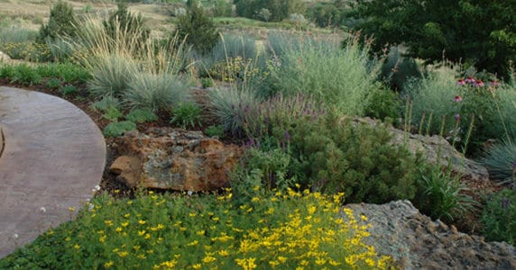 Planning Ahead – The 7 Principles of Xeriscape