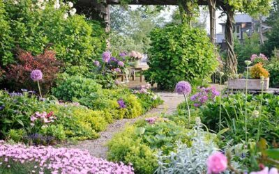 Easy Steps to a More Water-Wise Garden