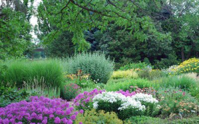 A Colorado Gardener’s April Checklist