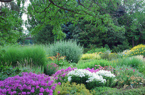 A Colorado Gardener’s April Checklist