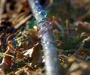 Water Smart: A Simple Guide to Drip Irrigation
