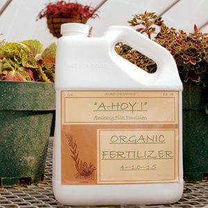 organic fertilizer