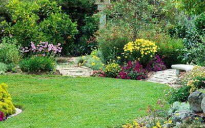 5 Reasons Organic Gardening Matters