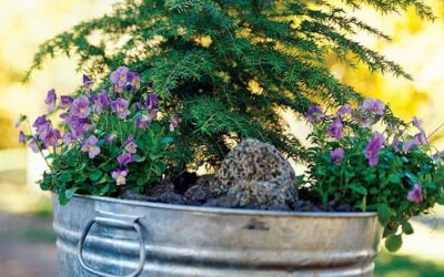 Celebrate Spring with Colorful Container Gardens