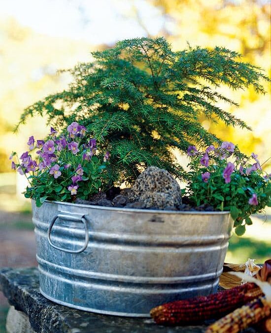 Celebrate Spring with Colorful Container Gardens