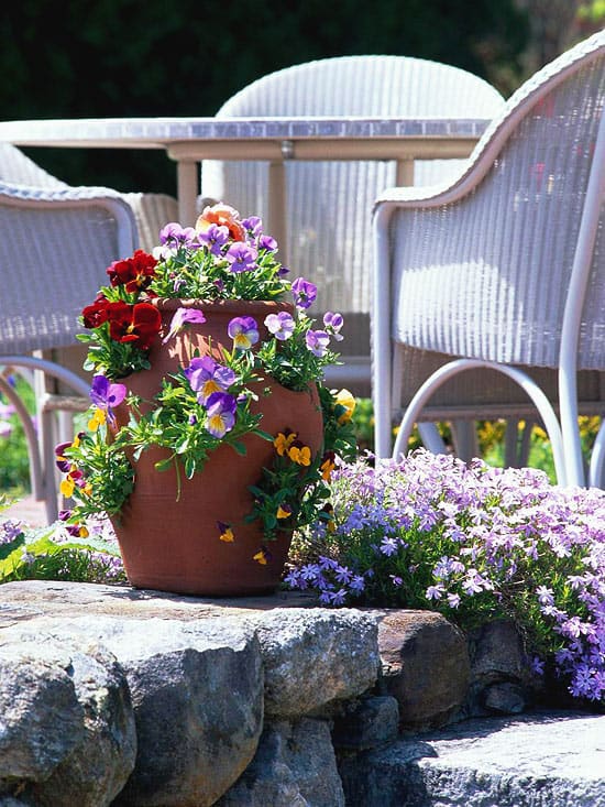 Colorful Container Gardens
