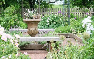 A Colorado Gardener’s July Checklist