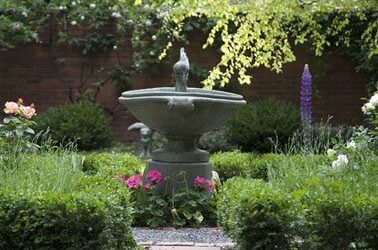 Dealing with the Effects of Heat in Your Colorado Garden