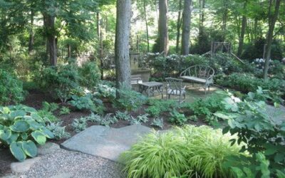 Shady Garden Plans
