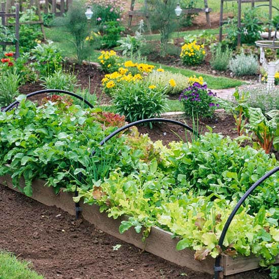 colorado gardening service