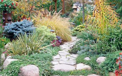 Beautiful Garden Path Ideas