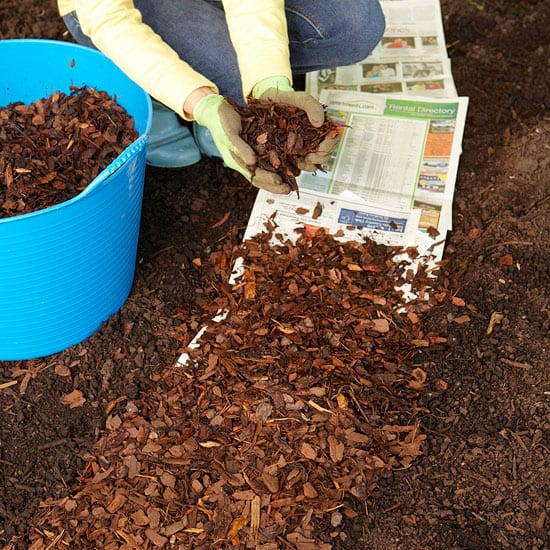 colorado landscape maintenace