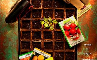 Gardening in Colorado? There’s an App for That