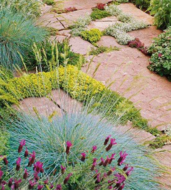 colorado landscaping services