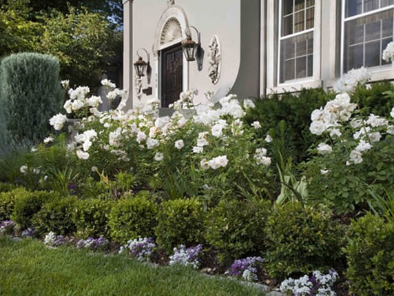 Denver landscaping services