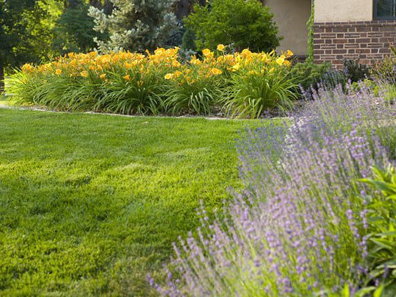 denver landscape architects