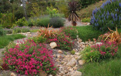 Is Your Garden as Green as You Think?