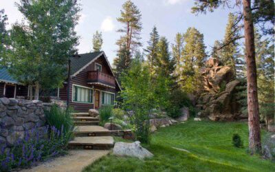 Colorado Landscaping Tips