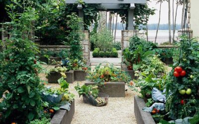 Get the Most Out of Your Second Harvest