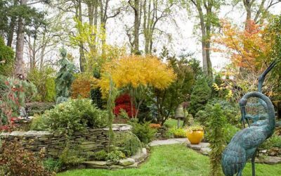 Prepare Your Colorado Garden for Winter