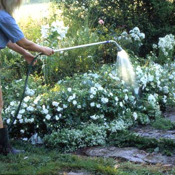 colorado landscape maintenace