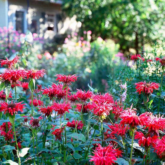 colorado landscaping service