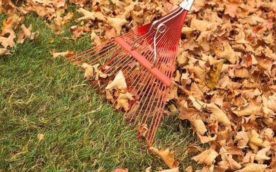 The Importance of Autumn Composting