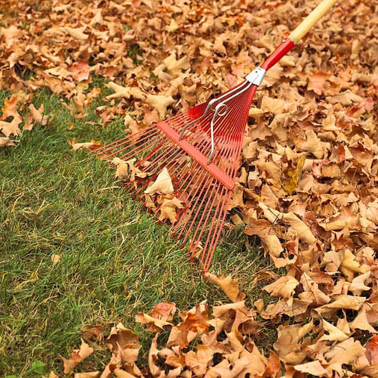 colorado landscaping service