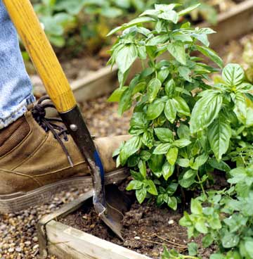 colorado garden maintenance