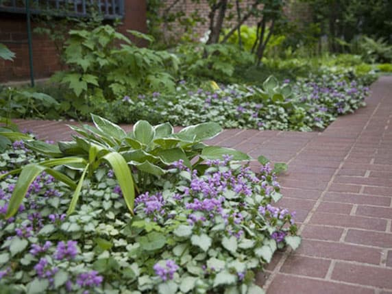 denver garden design