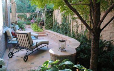 Benefits of Planting Shrubs: Top Advantages for Your Garden