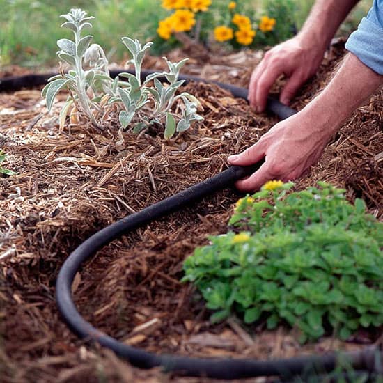 denver landscaping service