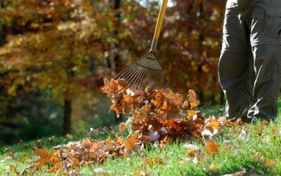 Fall Garden Preparations for a Colorado Winter