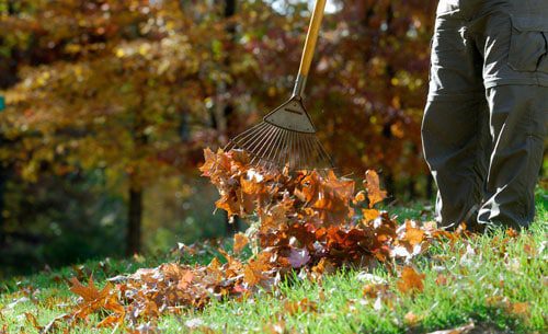 fall garden preparations