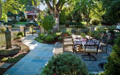 The Importance of Native Trees and Shrubs
