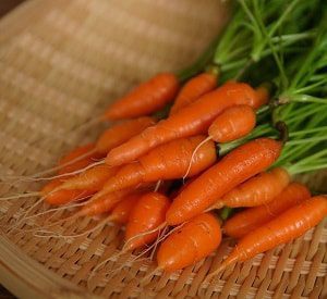 baby carrots 