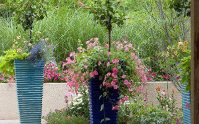 5 Container Gardening Mistakes to Avoid This Winter