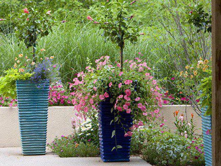 Blog Featured – 5 Container Gardening Mistakes to Avoid This Winter