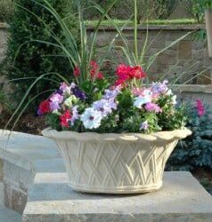 Tips for Starting a Beautiful Container Garden