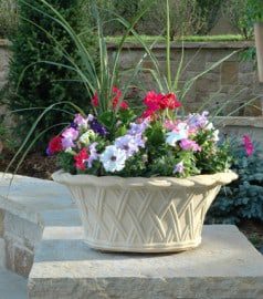 Tips for Starting a Beautiful Container Garden